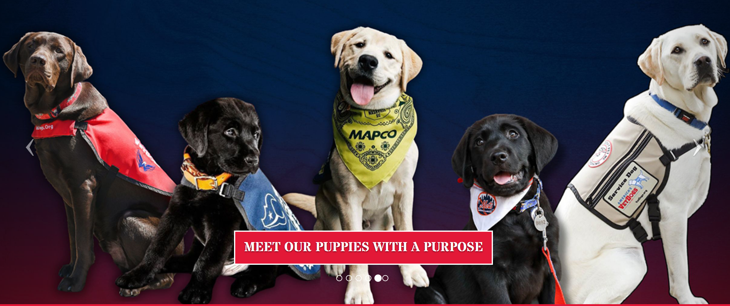 VetDogs